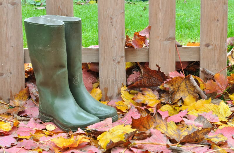 Rubber boots in a garden stock photo. Image of outdoor 23720050