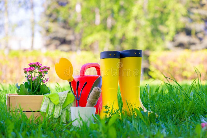 Rubber Boots Next To the Tools for Working in the Garden are on a Green