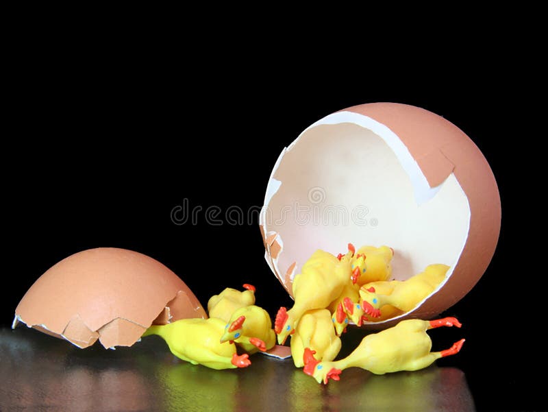 Rubber Chicken Hatchlings royalty free stock photography
