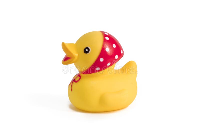 Rubber duck stock image