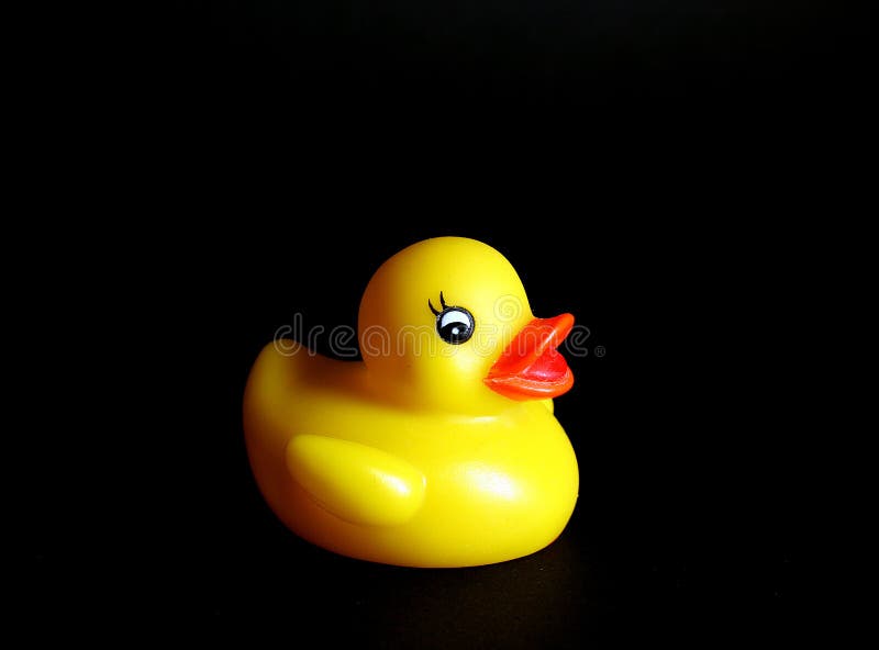 Rubber duck