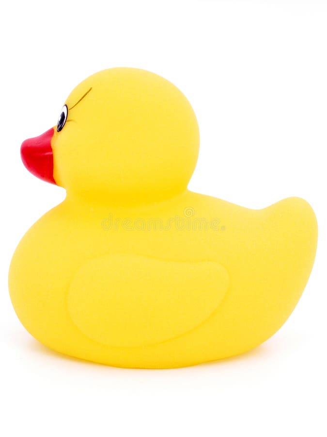 Rubber Duck stock photos