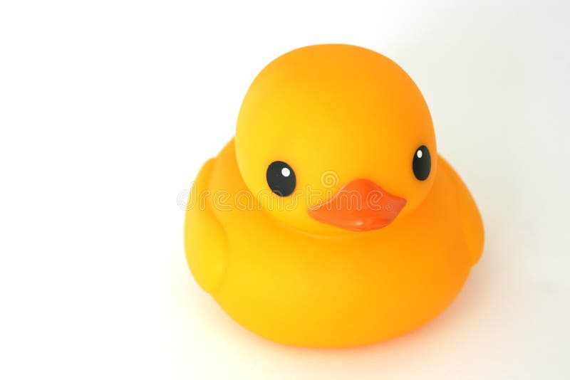 Rubber duck stock photography