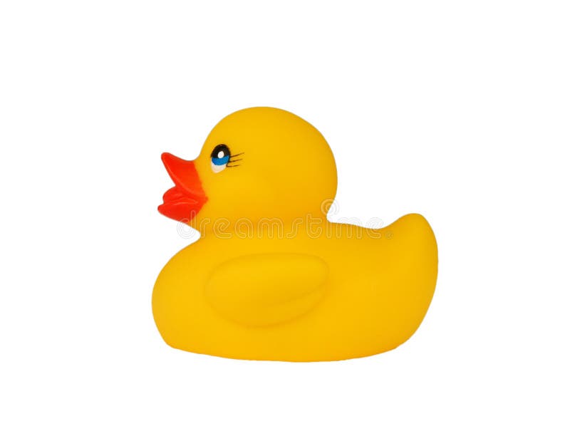 Rubber duck