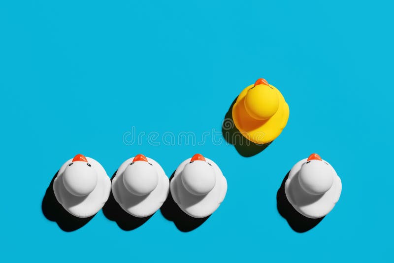 Rubber duck with competitive advantage stands out from the crowd. Successful business startup or career advancement stock photography