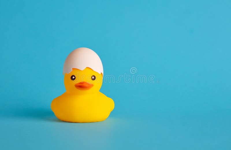 Rubber duck with an eggshell hat. Duckling hatch from an egg, birth or newborn royalty free stock photos