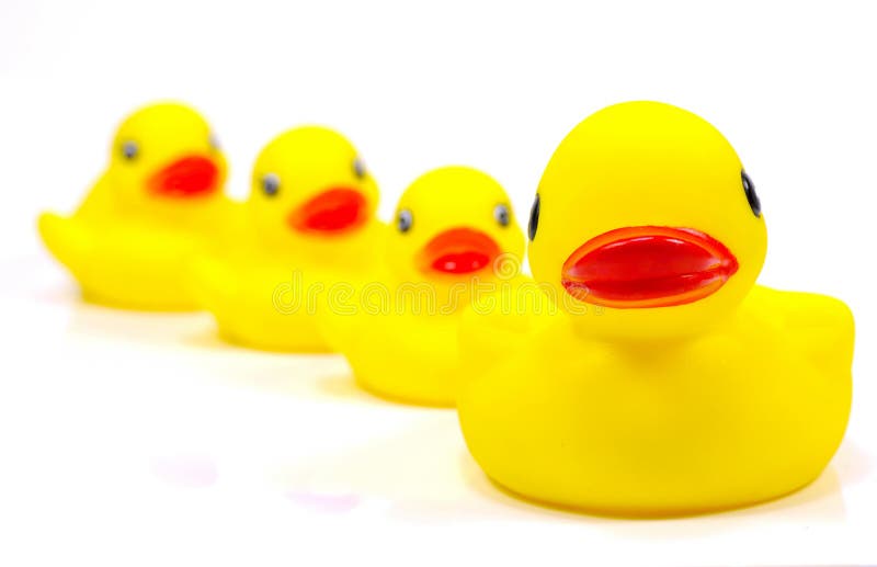 Rubber Duck Family