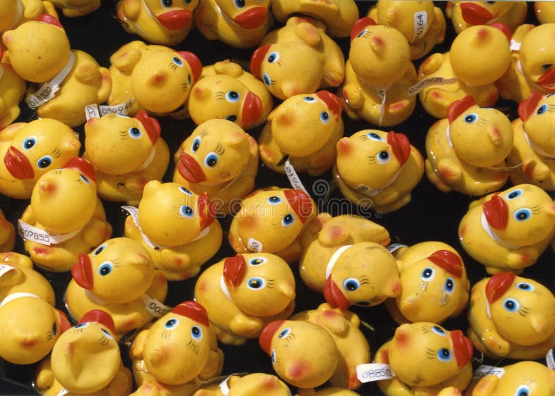 Rubber Duck Race