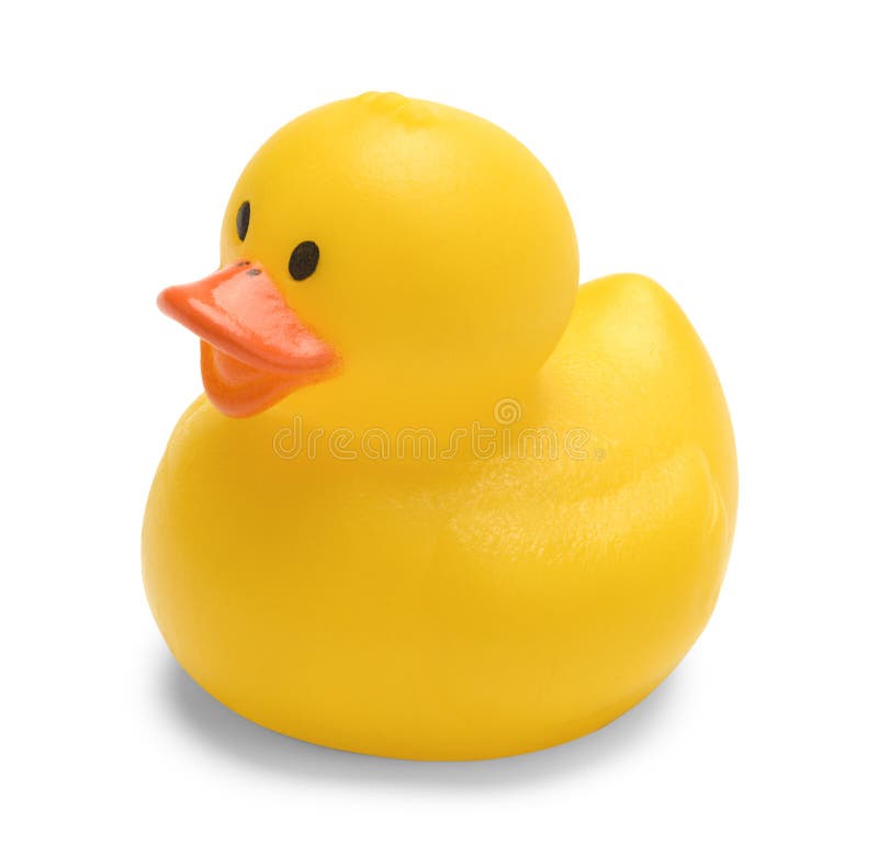 Rubber Duck stock images