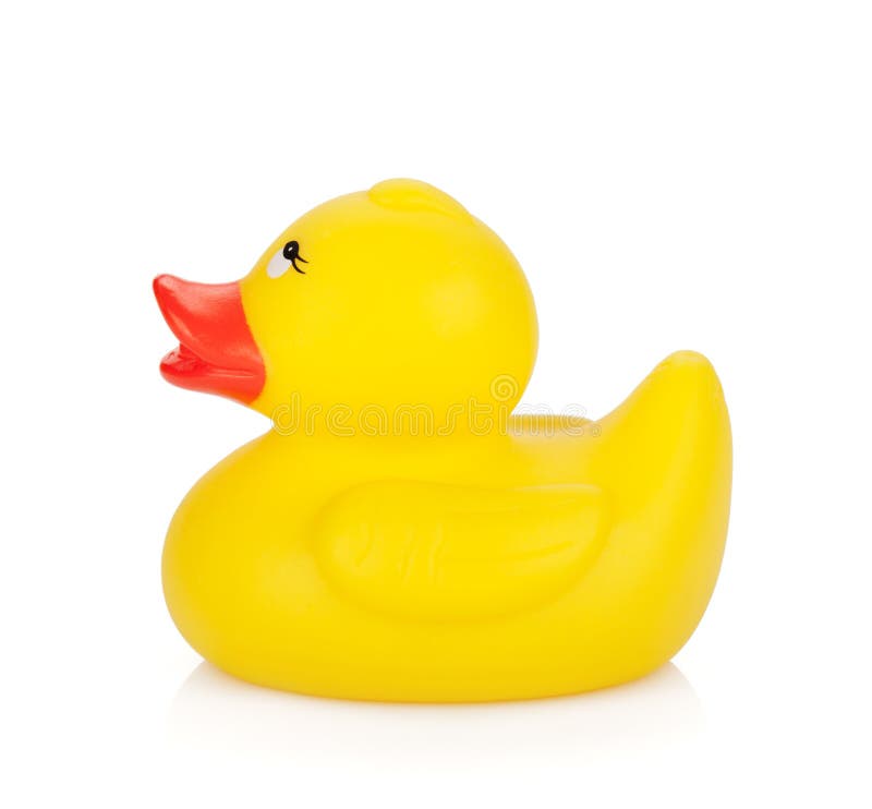 Rubber duck stock image
