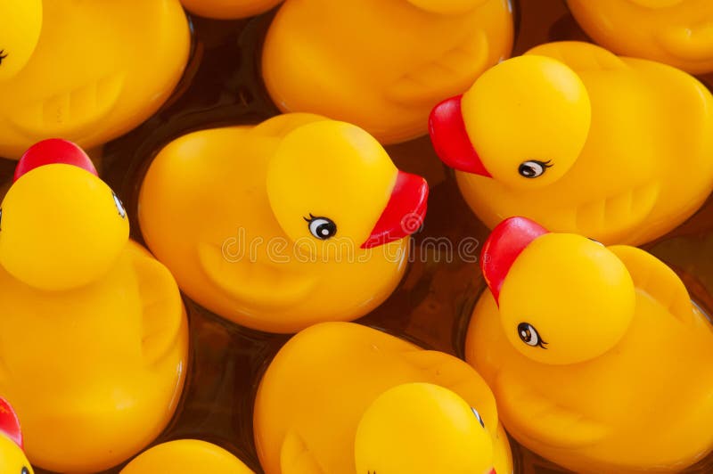 Rubber ducks stock photo. Image of ducky, carnival, yellow 238289190