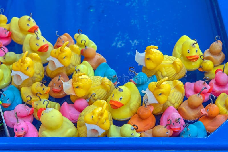 Rubber Ducks in Pool stock photo. Image of yellow, hook 277449230
