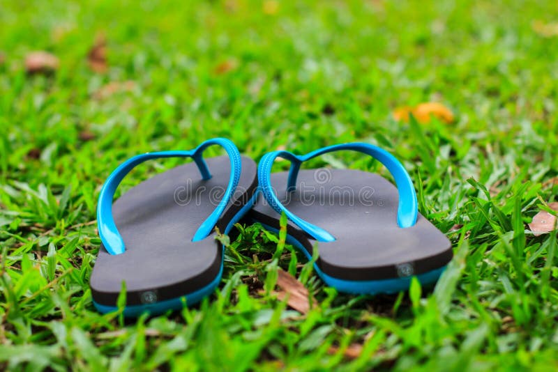 Rubber slippers on lawn stock photo. Image of rubber - 42886032