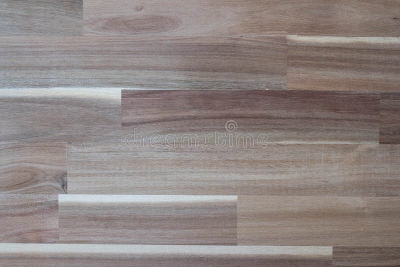 Rubber Wood Stock Photos Download 20 029 Royalty Free Photos