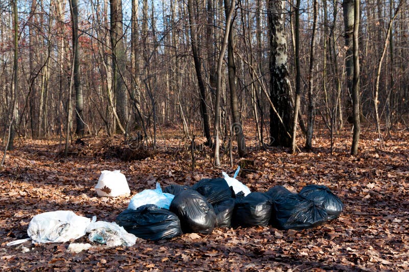 Rubbish in the forest stock photography Rubbish in the forest stock photography