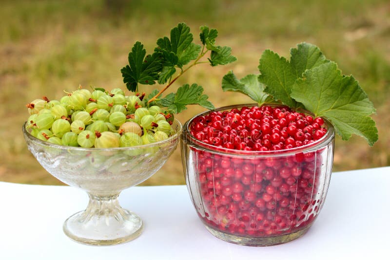 Rubrum смородины ягод красной смородины и uva-crispa смородины крыжовников в стеклянных шарах стоковые фото Rubrum смородины ягод красной смородины и uva-crispa смородины крыжовников в стеклянных шарах стоковые фото