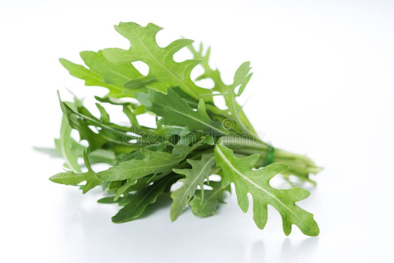 Ruccola