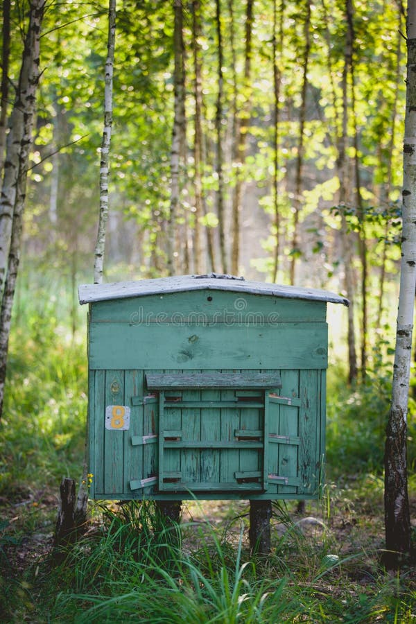 Rucher dans le bois Ruche d'abeille dans la forêt photo stock Rucher dans le bois Ruche d'abeille dans la forêt photo stock