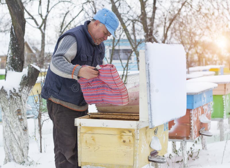 Ruches d'isolation d'apiculteur avec des abeilles en hiver images stock Ruches d'isolation d'apiculteur avec des abeilles en hiver images stock