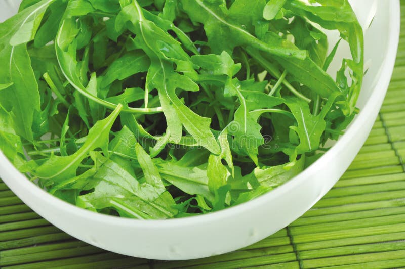 Rucola