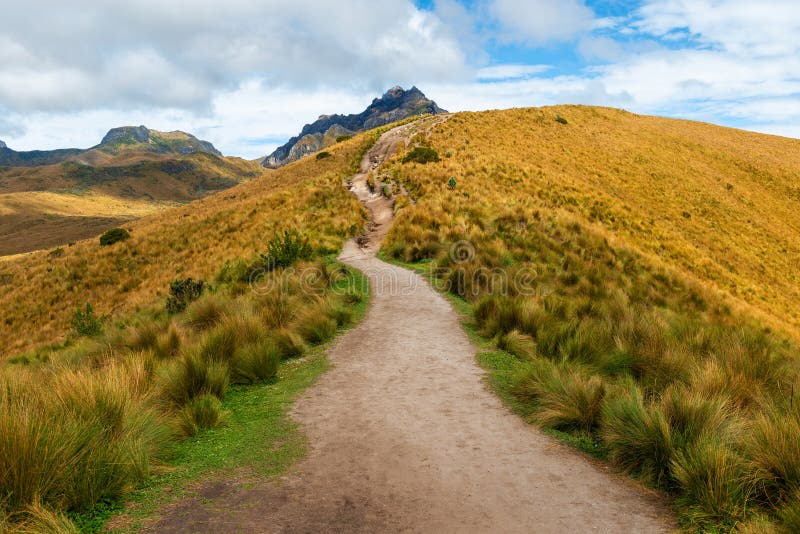 Rucu pichincha Wanderweg Pichincha Vulkan Ecuador stockfotografie