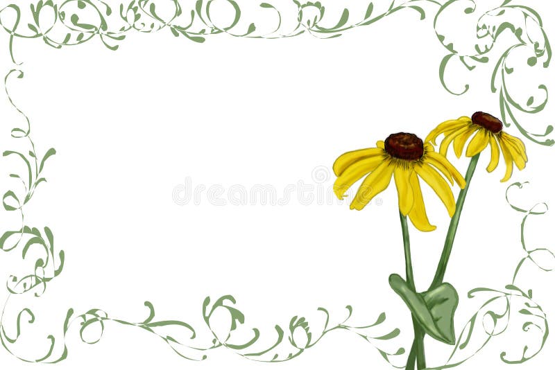 Rudbeckia met groene wijnstokken vector illustratie Rudbeckia met groene wijnstokken vector illustratie