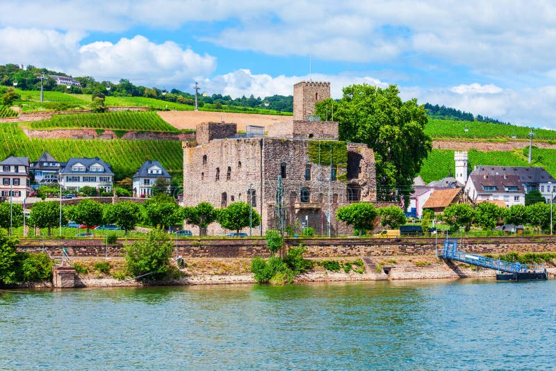 winery tour rudesheim