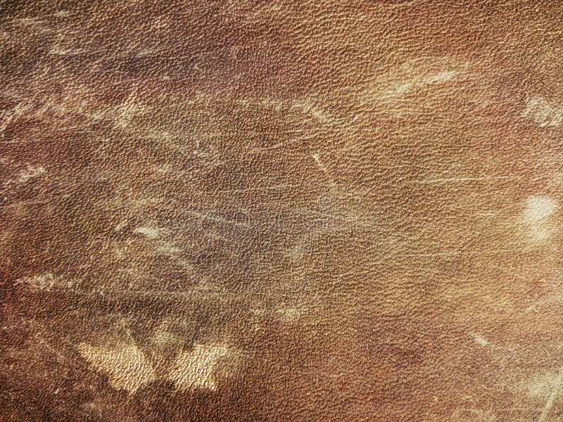 Rugged Leather Texture for Background Stock Photo Image of leather