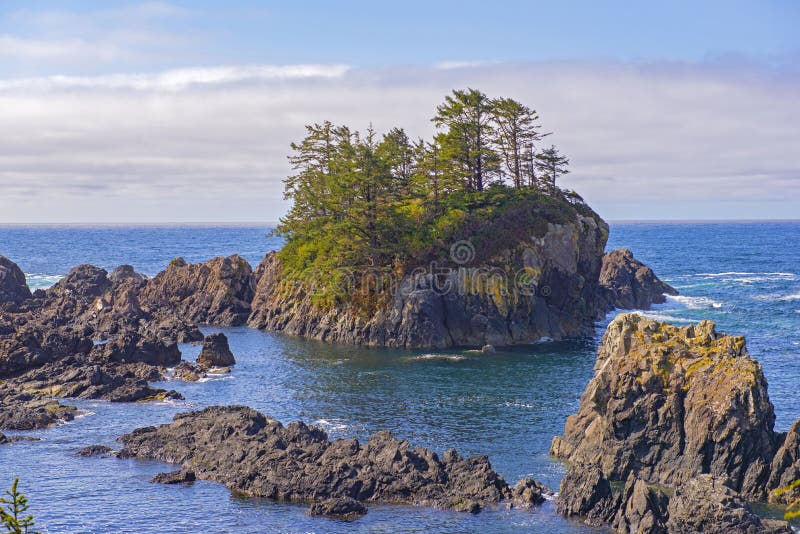 Rugged shoreline of wild pacific trail in Ucluelet, Vancouver Is