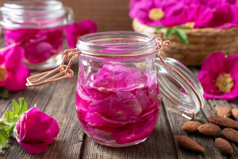Rugosa nam bloemblaadjes die in amandelolie macereren toe stock afbeeldingen Rugosa nam bloemblaadjes die in amandelolie macereren toe stock afbeeldingen