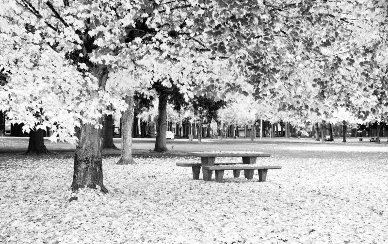 Ruhezone-Picknicktisch Autumn Nature Season Leaves Falling lizenzfreies stockbild Ruhezone-Picknicktisch Autumn Nature Season Leaves Falling lizenzfreies stockbild