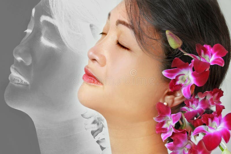 Ruhige Schönheit mit Orchideen lizenzfreies stockbild Ruhige Schönheit mit Orchideen lizenzfreies stockbild