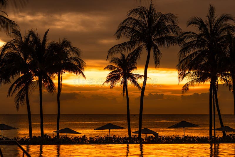 Ruhige Sommerferien oder Ferienlandschaft. Sonnenstrahl der tropischen Insel. Palmen über ruhige Meerwassersonnenschirme stockfotos