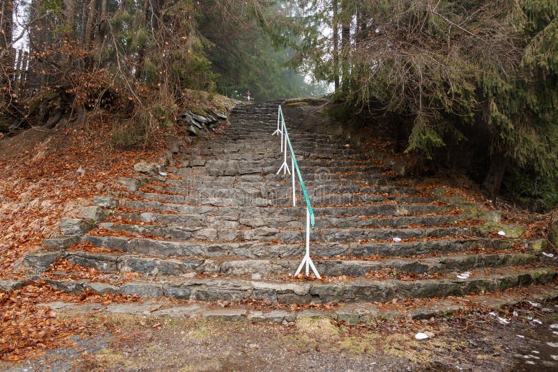 Ruhige Steintreppe in einen bewaldeten Pfad lizenzfreie stockbilder