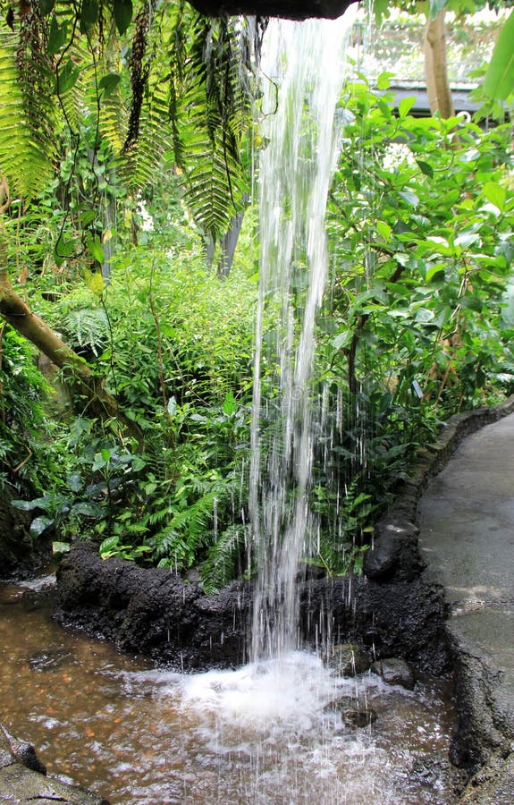 Ruhige Szene des Wasserfalls und Stoffgrün im Regenwald arbeiten im Garten lizenzfreie stockbilder Ruhige Szene des Wasserfalls und Stoffgrün im Regenwald arbeiten im Garten lizenzfreie stockbilder