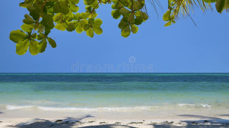 Ruhige tropische Strandlandschaft