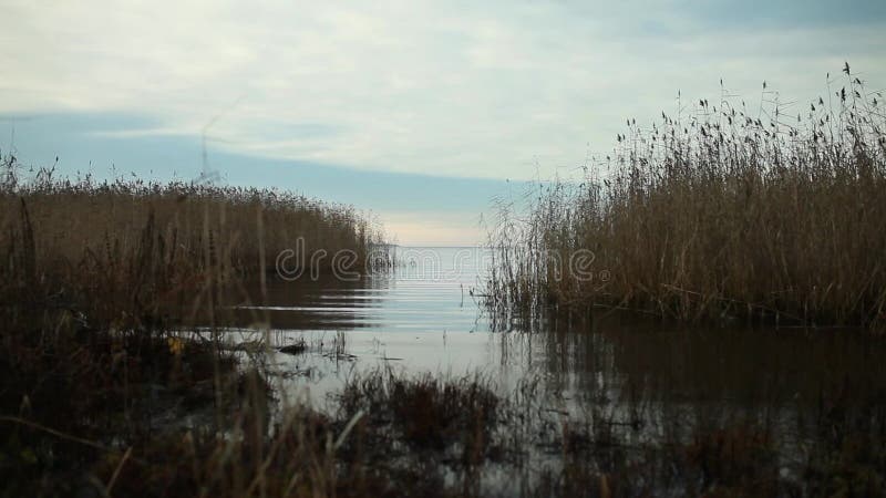 Ruhiger Abend auf einem schönen See