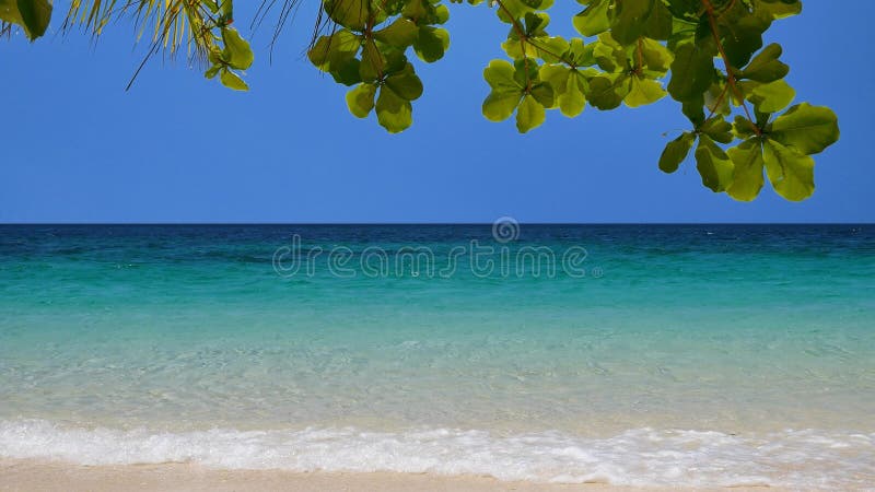 Ruhiger tropischer Strand in UHD