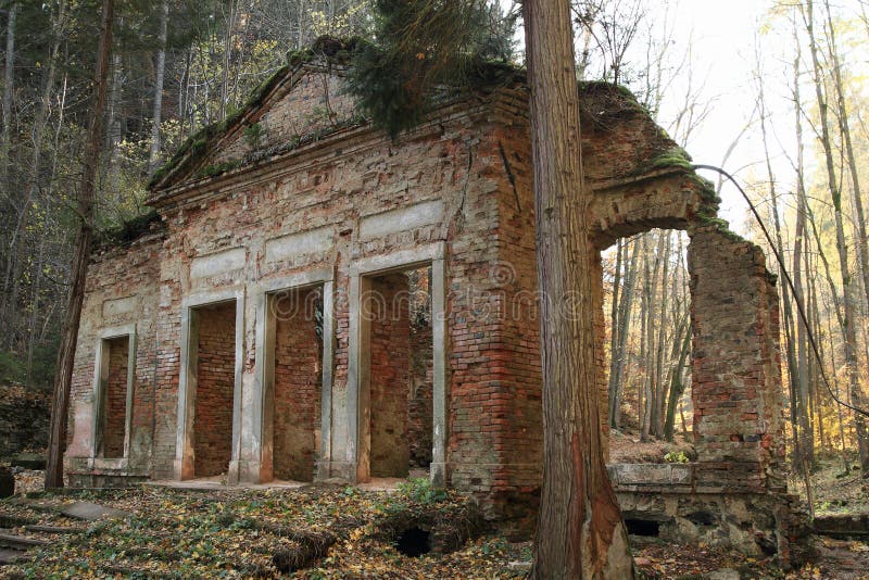 lonely tower medieval ruin forest lonely tower medieval ruin forest
