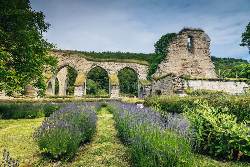 Ruin of a 900 year old monastery