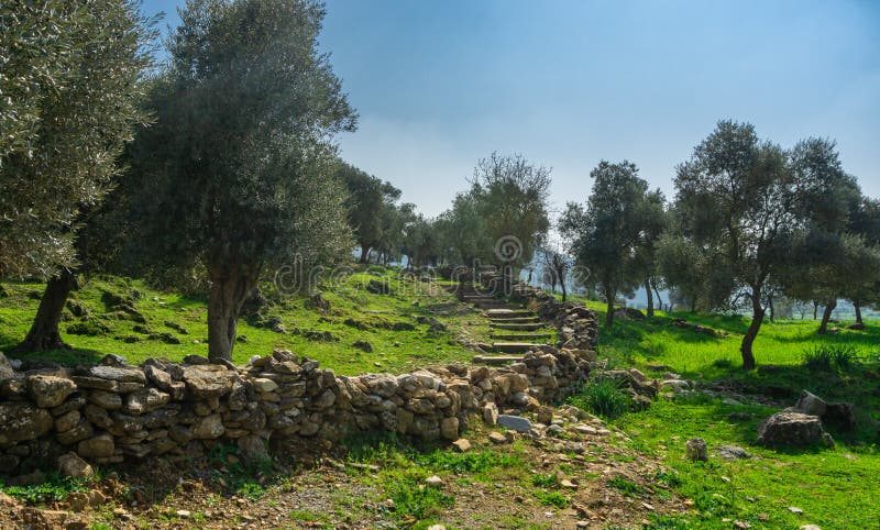 Ruinas y escaleras de Milas, Aydin, Turquía de la ciudad antigua de Euromos Manera del sur de la necrópolis Acuerdo griego y roma imagen de archivo Ruinas y escaleras de Milas, Aydin, Turquía de la ciudad antigua de Euromos Manera del sur de la necrópolis Acuerdo griego y roma imagen de archivo