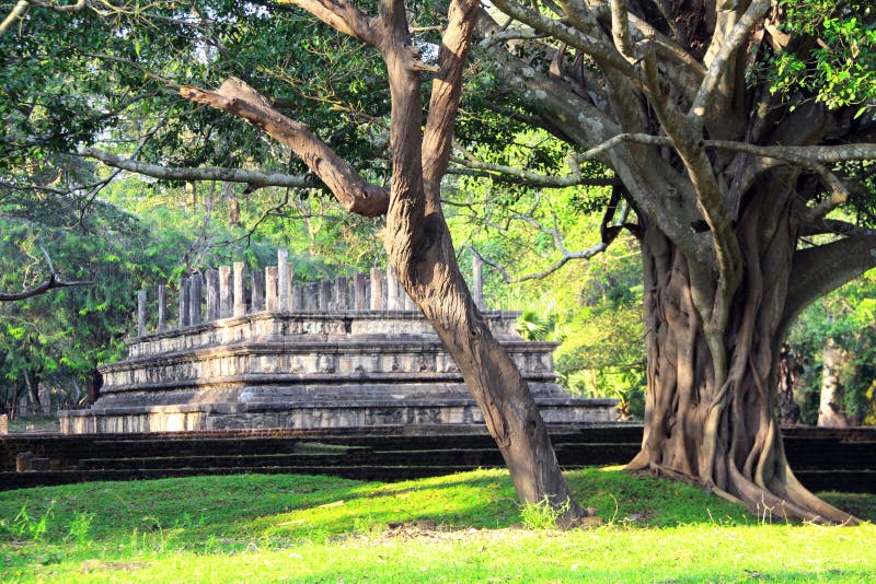 Ruinen des alten singhalesischen Parlaments, Polonnaruwa, Sri Lanka lizenzfreies stockbild Ruinen des alten singhalesischen Parlaments, Polonnaruwa, Sri Lanka lizenzfreies stockbild