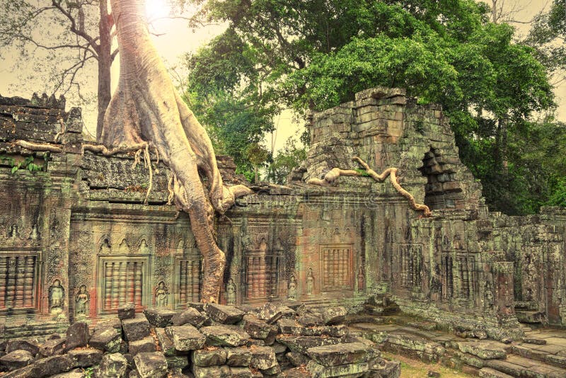 Ruines De Temple Antique Perdues Dans La Jungle Photo stock - Image du ...