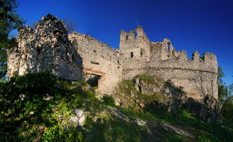 The ruins of the castle Tematin