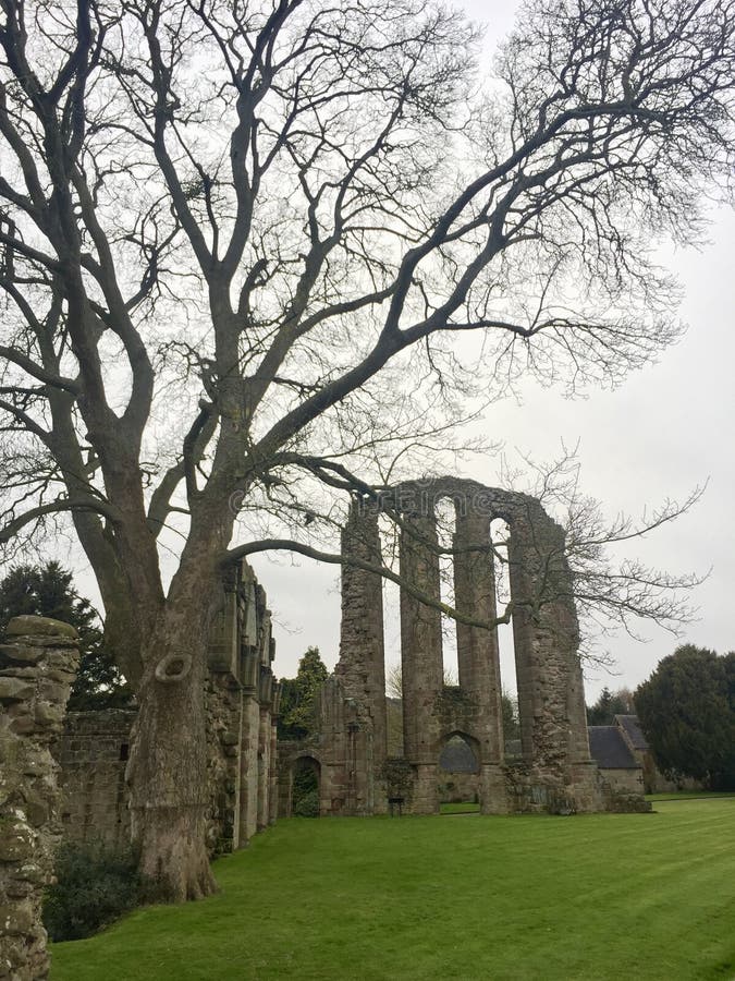 Croxden Abbey ruins, deep in Staffordshire countryside. Ruins of Croxden Abbey, nestled deep in Staffordshire countryside - a 12th century Cistercian abbey royalty free stock image