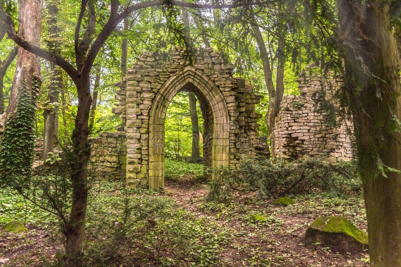 Ruins Deep in the Forest with Sunlight Stock Photo Image of
