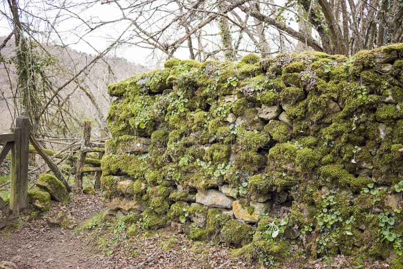 Abandoned town ruins