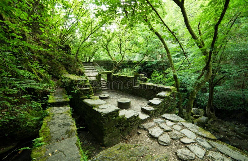 Ruins of an old mill in the natural park