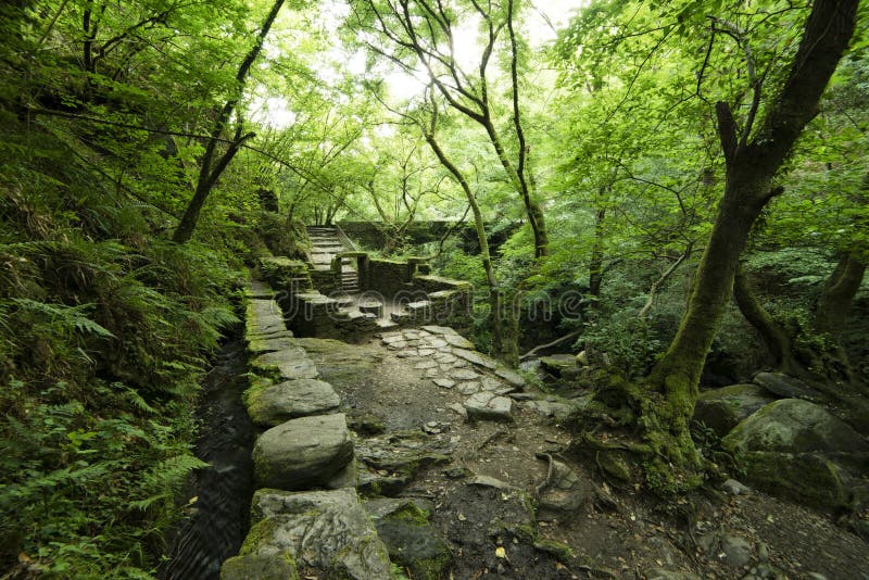 Ruins of an old mill in the natural park