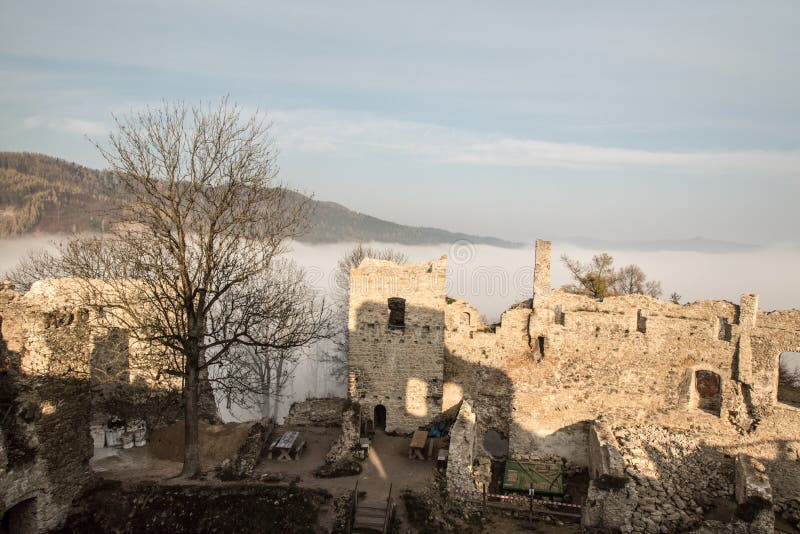 Zrúcanina Považského hradu na Slovensku so stromom a kopcom v pozadí